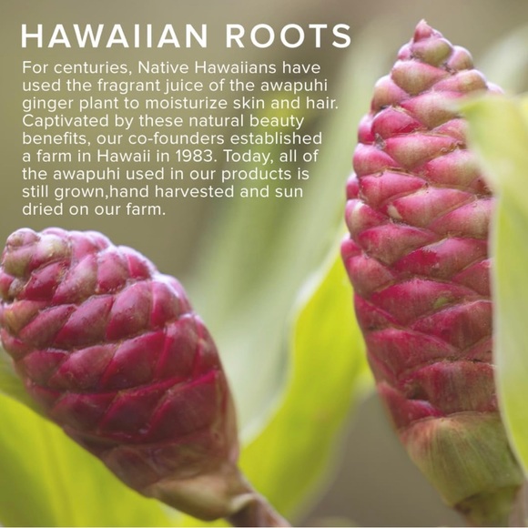 COPY - Awapuhi Wild Ginger Styling Treatment Oil, Dry-Touch, Leave-In Formulas - Picture 3 of 3